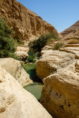 Clear water pools in a desert canyon