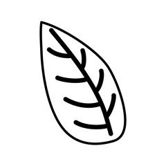 foliage botanical leaf icon line style