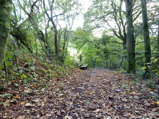 herbstliche Wanderwege