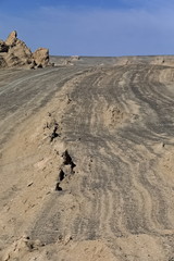 Obraz na płótnie Canvas Yardangs-wind eroded rock and bedrock surfaces-alternating ridges and furrows-Qaidam desert-Qinghai-China-0550