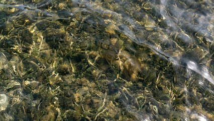 Water reflection in golden color with soft waves in white