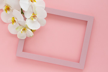 Beautiful White orchid flowers, wooden photo frame on pink background. Pink photo frame and flowers orchids. Empty space for text. Branch of orchid close up. Women's Day, Flower Card. Flat lay.   