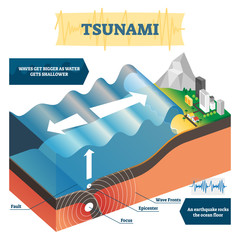 Tsunami vector illustration. Labeled educational big ocean wave explanation - obrazy, fototapety, plakaty
