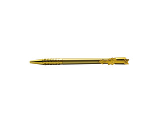 Gold business pen isolated on white background. Clipping Path