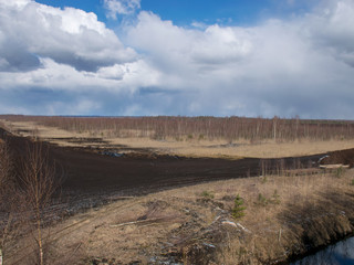 landscape with bog ditch, white birch trees and beautiful glare