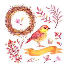Isolated watercolor spring set with small bright bird