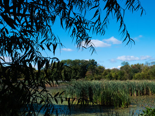 Heinz National Wildlife Preserve overlooking marsh - Philadelphia, PA / USA - September 29, 2019