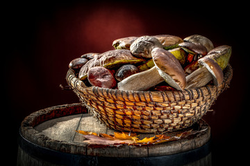 Fresh autumn mushrooms and free space for your decoration 