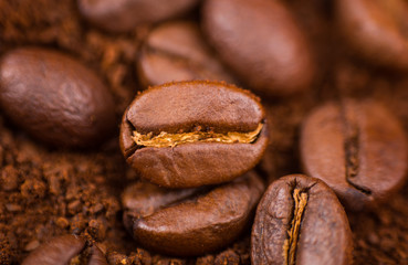 Close Up Of Coffee Beans On Coffee Powder