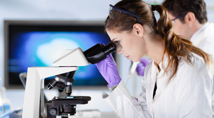 Life scientists researching in laboratory. Attractive female young scientist and her doctoral...