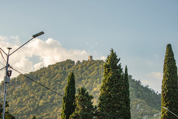 Green stormy vegetation of New Athos in Abkhazia