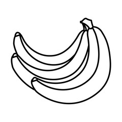 Isolated bananas fruit vector design