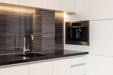 Modern and new kitchen with built in appliance
