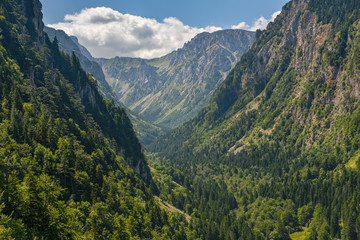 Fototapeta premium Summer Tara Canyon in mountain Durmitor National Park, Montenegro