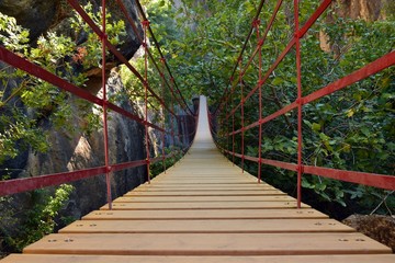 Camino pasando por un puente colgante de hierro y madera