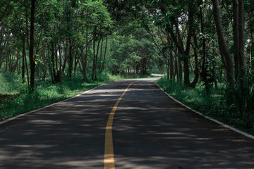 Nice road  beautiful road road with spot sunrise.