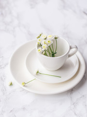 Fototapeta na wymiar White plate, saucer and cup with flowers on a marble background. Minimalism.