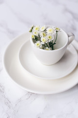 White plate, saucer and cup with flowers on a marble background. Minimalism.