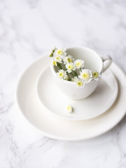 White plate, saucer and cup with flowers on a marble background. Minimalism.