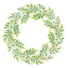 Isolated watercolor wreath with white acacia