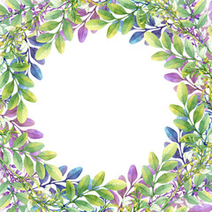 Isolated watercolor frame with white acacia