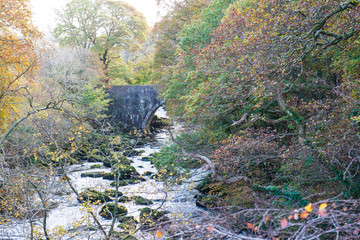 Autumnal flowing river scene, River Ogwen, Wales, Horizontal