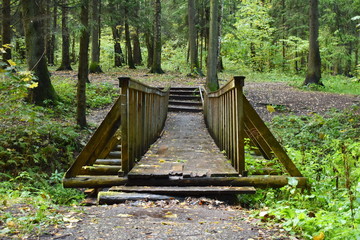 Wooden bridge in the forest.