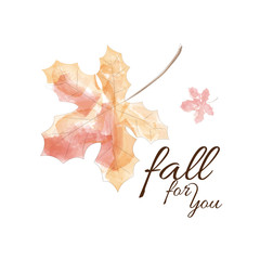 Maple leaves in watercolor style with the 'word fall for you'