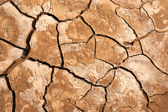 Cracked dry ground, Namib Province, Angola.