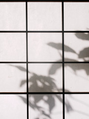Japanese traditional paper door or window "Shoji". Silhouette of leaves are projected on it.
