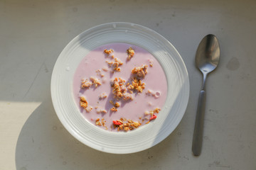 Bowl of homemade granola with yogurt and fresh berries 
