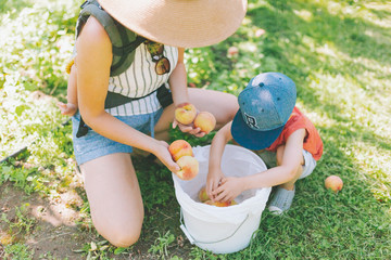 A mother and son picking peaches in the summer. 