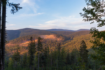 Sunset in forest of Europe mountains.