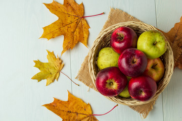 Still life with a view of autumn apples in a basket and maple leaves, top view