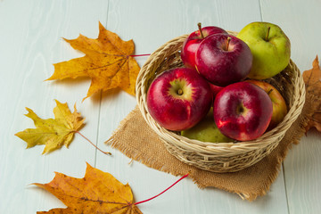 Still life with a view of autumn apples in a basket and maple leaves