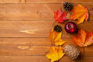 Still life with a view of autumn leaves, apples and pine cones