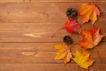 Still life with a view of autumn leaves, apples and cones