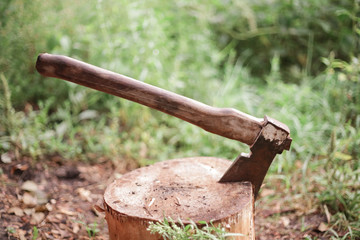 Axe in a tree on a background of trees