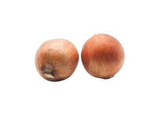 onion isolated on white background. Clipping Path