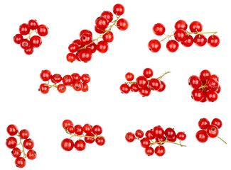 Currant berries isolated on white background, top view