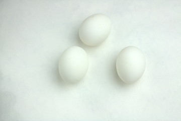 egg rests upon table