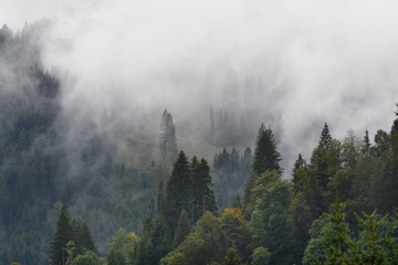 nebel im kleinwalsertal