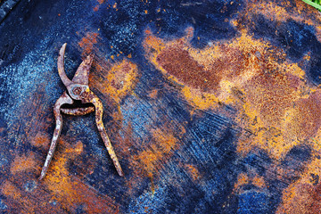 Rusty garden pruner on the iron rusty metal sheet