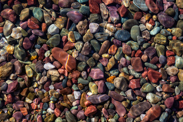 Colorful Rocks in a Glacier Lake during a sunny summer day. Taken in Lake McDonald, Glacier National Park, Montana, USA.