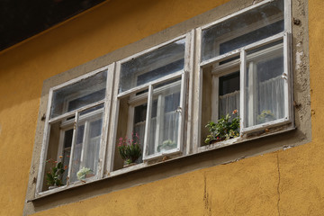 Old windows with flowers on the windowsill