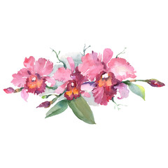 Branch of pink orchids floral botanical flowers. Watercolor background set. Isolated bouquets illustration element.