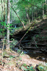Boulders on Nature Trail in Woods