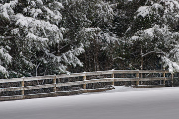 A landscape horizontal view of an old rugged fence after a winter snow. The light shines bright on the fence revealing its vintage features. Bright white, clean snow has covered the trees and ground.