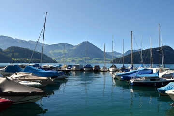 Fototapeta na wymiar Landscape view from Vitznau of the beautiful Lake Lucerne from the lake shore