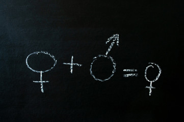chalk on the Board male and female